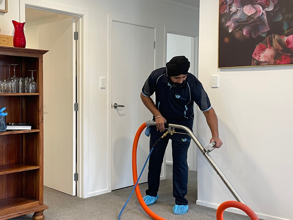 Carpet Cleaning in Wellington: Breathing New Life Into Your Floors