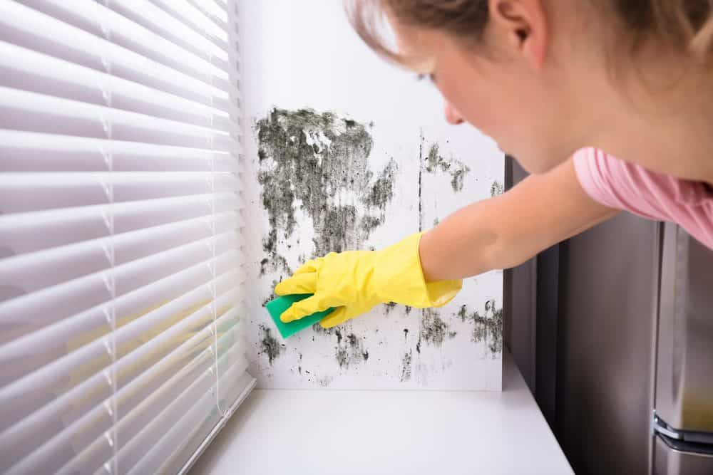10 easy ways to prevent mould growing in your home
