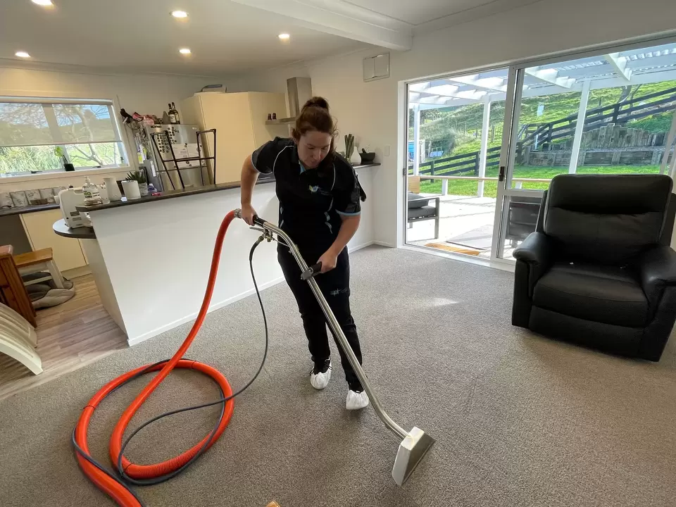 7 Compelling Reasons to Entrust Your Carpets to Professional Cleaning Services