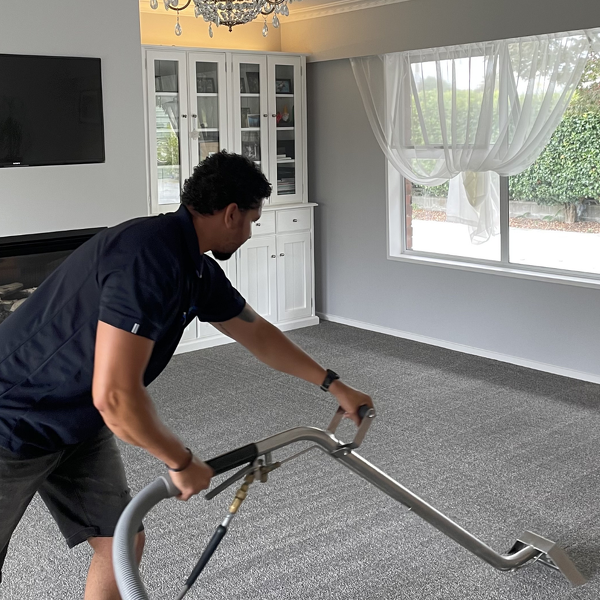 Carpet Cleaning Hallmark Services