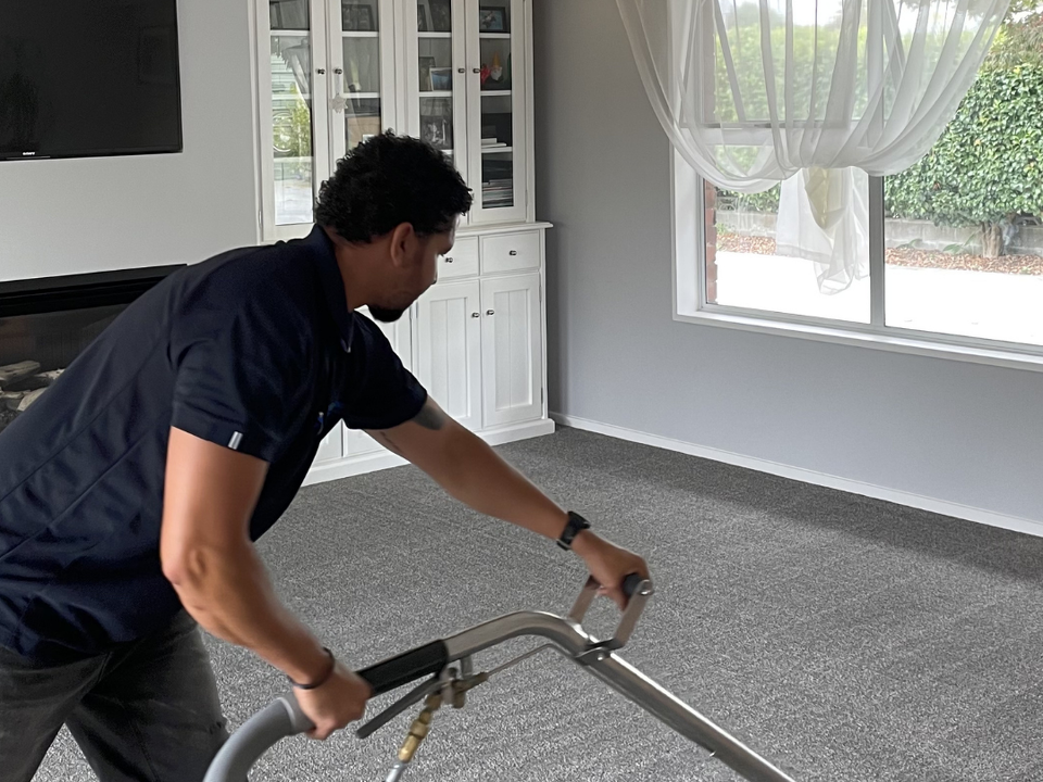 Carpet Cleaning